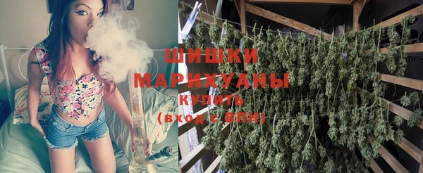 твердый Бронницы