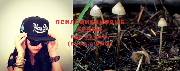 ешки Бугульма