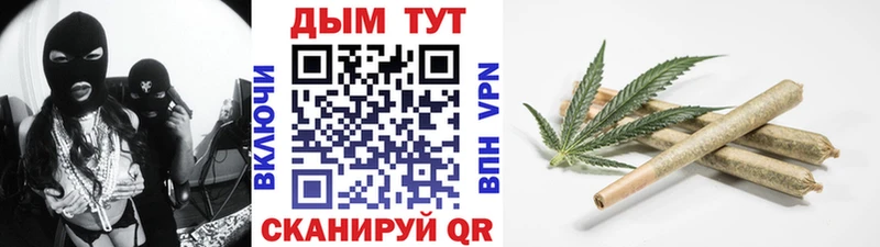 Купить где  Магас  Конопля планчик 